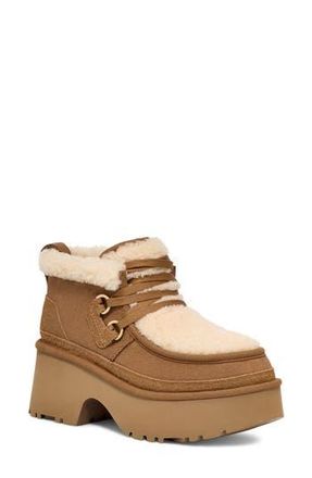 UGG Classic New Heights Genuine Shearling Lace-Up Bootie in Che at Nordstrom Rack, Size 7