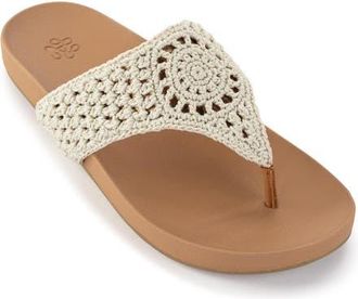 The Sak Everly Sandal in Natural Medallion at Nordstrom, Size 10