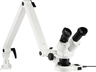 Eschenbach Porzellan Group 33263 33263 Microscopio Stereoscopico Binoculare 20 X Luce Riflessa