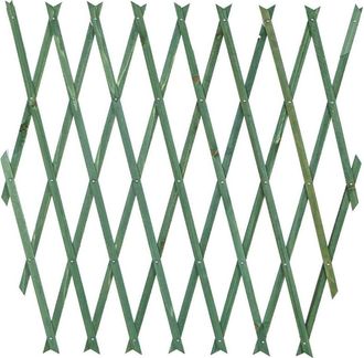 Trade Shop Trade Shop - Pared De Malla De Madera Verde Extensible Para Paredes De Jard&iacute;n 180x60cm Plantas