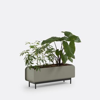 La Redoute Interieurs Lage plantenbak in staal, Fleury