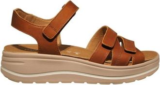 Hartjes Donna, Scarpe, Marrone, 38 EU, new