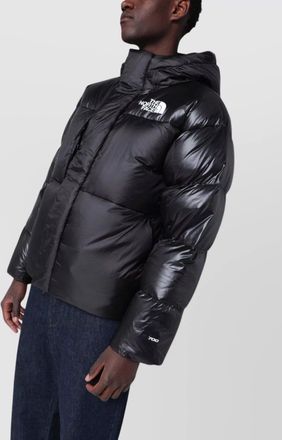 The North Face padded hooded down jacket nf0a8dqbny r