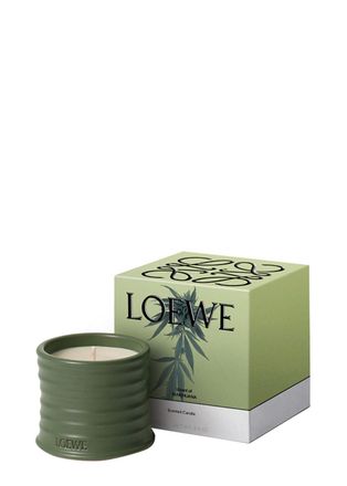 Loewe Marihuana Candle - Small 170g, Candle, Mid-intensity Fragrance, Herbal Scent, Soothing Aroma of the Sativa Herb, Woody Notes, Small, 170g