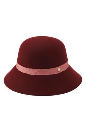 Helen Kaminski Wool Cloche Hat in Wild Blackberry at Nordstrom Rack