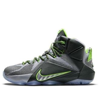 Nike LeBron 12 Dunkman 684593-001
