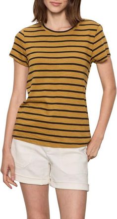 Sanctuary The Perfect T-Shirt in Cumin Brown/black Stripe at Nordstrom, Size X-Large