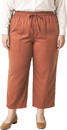 Standards & Practices Crop Pants in Rust at Nordstrom, Size 2 X
