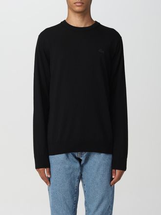 Lacoste Pullover basic Lacoste in lana Merino