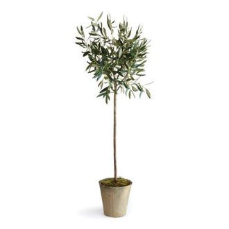 Napa Home & Garden Olive Tree Potted 46 in Green at Nordstrom