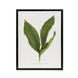 Artery8 AF Lydon Benjamin Fawcett Lily of the Valley Leaf Framed Canvas Art in White | Size: W24 x H32
