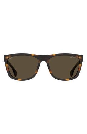 BOSS 58mm Polarized Square Sunglasses in Havana 2 at Nordstrom Rack