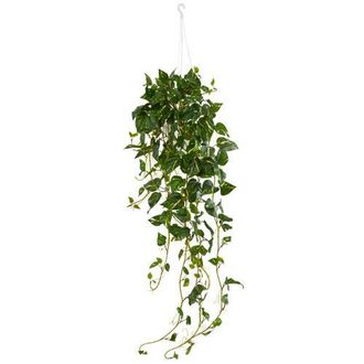 Nearly Natural Pothos Hanging Basket Artificial Plant in Green at Nordstrom