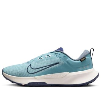 Nike Juniper Trail 2 Gore-Tex V2 Thunder Blue White HM9734-402