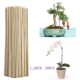 OEM Estaca De Bamb&uacute; Para Soporte De Crecimiento De Plantas, Barra Para Ramas Peque&ntilde;as De Bons&aacute;is, Herramienta De Jardiner&iacute;a Diy, 3 Mm, 20 Cm, 50 Unidades 