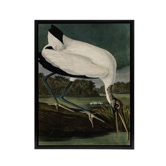 Artery8 Audubon Birds Wood Ibis Painting Framed Canvas Wall Art Print | Size: W24 x H32