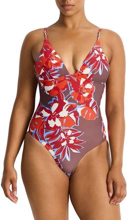 Sea Level Australia Triangle One-Piece Swimsuit in Chocolate at Nordstrom, Size 6 Us