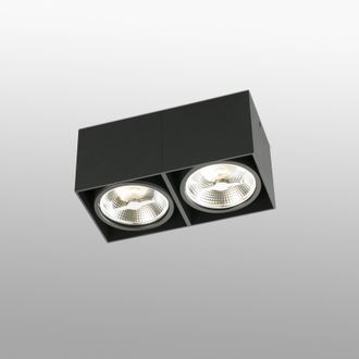 Netlighting Tecto 2 Light Square Surface Mounted Downlight Black