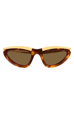 Bottega Veneta BV1477S Cat Eye Sunglasses in Havana at Nordstrom