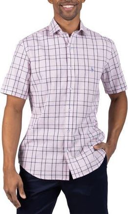 Tailorbyrd Large Check Yarn Dyed Short Sleeve Linen & Cotton Blend Button-Up Shirt in Pink at Nordstrom Rack, Size Xx-Large