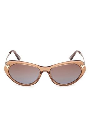 Emilio Pucci 56mm Geometric Sunglasses in Sand /Fishtail Logo /Brown at Nordstrom