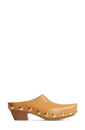 Bottega Veneta Wanda Clog in Mojave Beige at Nordstrom, Size 10Us