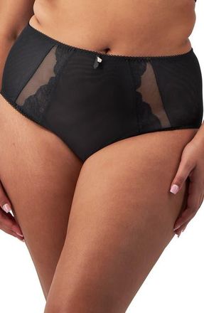 Elomi Cate Allure Briefs in Black at Nordstrom, Size 4X-Large