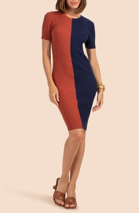 Trina Turk Vivika Colorblock Minidress in Cinnamon/Indigo at Nordstrom Rack, Size X-Small