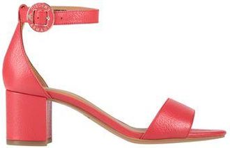 Emporio Armani FOOTWEAR - Sandals sur YOOX.COM