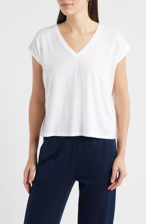 Eileen Fisher V-Neck Boxy T-Shirt in White at Nordstrom, Size X-Large