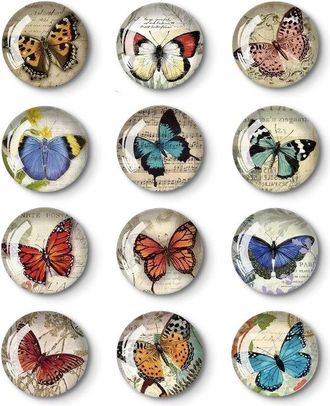 OEM Juego De 12 Imanes Para Nevera, Imanes Decorativos Para Nevera, Imanes Magn&eacute;ticos Para Nevera, Imanes Decorativos Para Nevera, Imanes Para Nevera