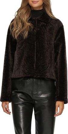 Gorski Textured Genuine Shearling Short Jacket in Brown at Nordstrom, Size X-Large