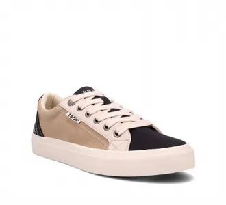 Taos Womens Plim Soul Sneaker In Black/tan