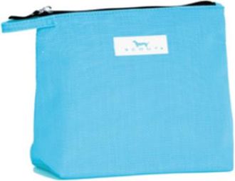 Scout Go Getter Pouch in Pool at Nordstrom