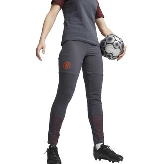 Puma Dames/Dames Manchester City FC Tapered Joggingbroek (Grijs)