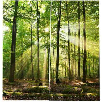 OEM Cortinas Opacas Con Estampado De Luz Solar En El Bosque Para Dormitorio, Sala De Estar O Balc&oacute;n, 170x200cm -crezuo