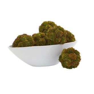 Nearly Natural 4-in Sedum Artificial Succulent Artificial Spheres in Green at Nordstrom