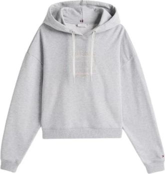 Tommy Hilfiger Casual Hoodie met vlagprint - Dames - Hoodies - Grijs - L - Katoen - Hoodies & sweatvesten