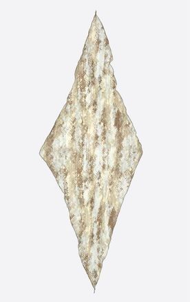 Bimba & Lola Snake print scarf in Snake Taupe at Nordstrom