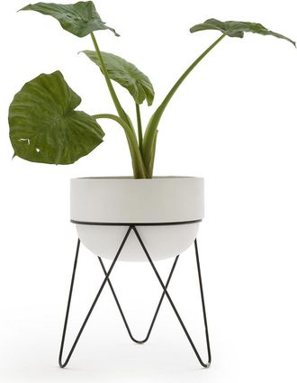 AM.PM Bloempot H54 cm, Plantae