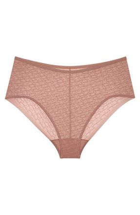 Triumph Signature Sheer Brief Panties in Toasted Almond at Nordstrom, Size 3X-Large