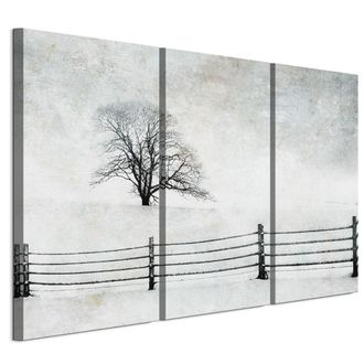 OEM Cuadro Sobre Lienzo Italiano De 90 X 60 Cm, Tr&iacute;ptico - Estilo Minimalista - Naturaleza Cuadro Sobre Lienzo Italiano De 120 X 80 Cm, Tr&iacute;ptico - Estilo 