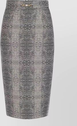 Elisabetta Franchi mesh sleeve midi dress textured sheer neckline