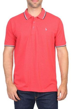 Tailorbyrd Micro Tipped Piqué Polo in Red Heather at Nordstrom Rack, Size Xx-Large