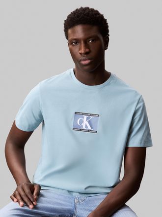Calvin Klein T-Shirt CALVIN KLEIN SS 30s E SPRTSWR 3 G, Herren, Gr. XL, blau (stone blau), Single Jersey, Obermaterial: 100% Baumwolle, unifarben, regular fit h&uuml;ft