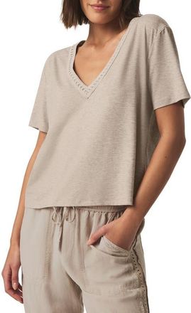 Splendid Dawn V-Neck T-Shirt in Fawn at Nordstrom, Size X-Small