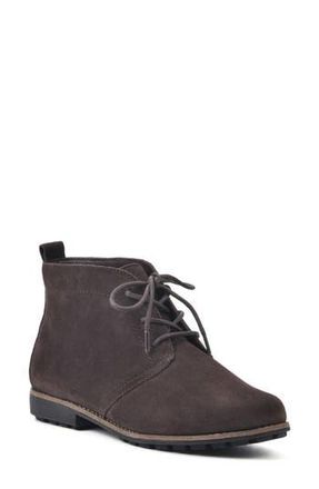 White Mountain Auburn Chukka Boot in Brown/Suede at Nordstrom Rack, Size 6.5