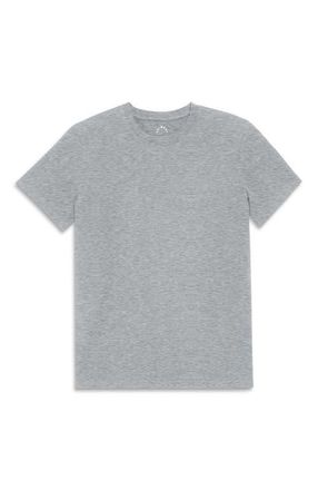 primary Adult Classic Tee in Heather Gray at Nordstrom, Size Xx-Large