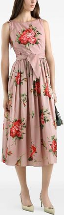 Dolce & Gabbana Dresses