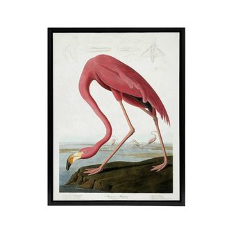 Artery8 Audubon American Flamingo in Coastal Landscape Framed Canvas Wall Art in Pink | Size: W24 x H32